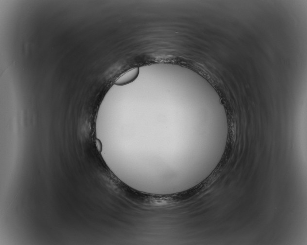 X0000086730618200704130747