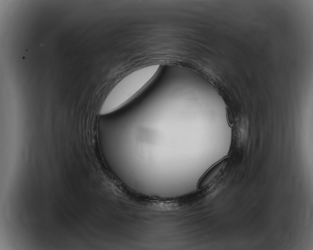 X0000086730619200704130747