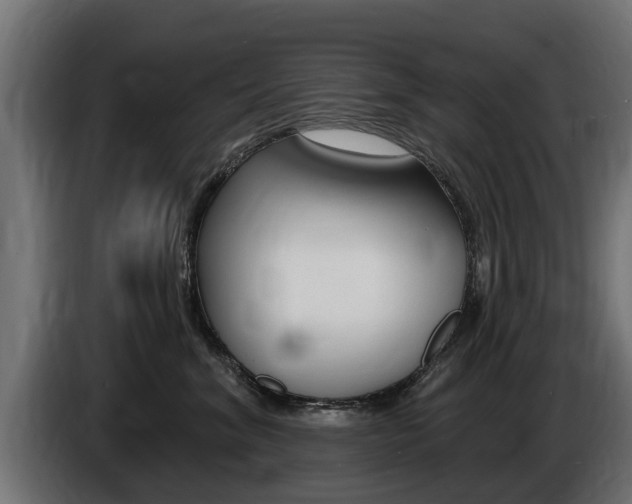 X0000086730620200704130747