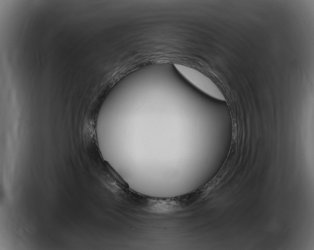 X0000086730621200704130747