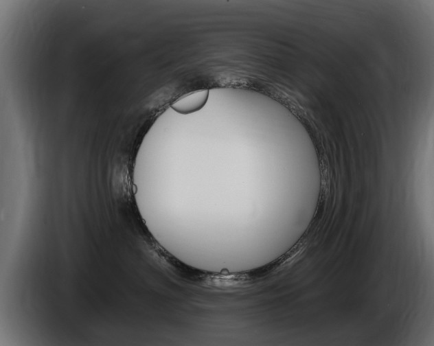X0000086730622200704130747