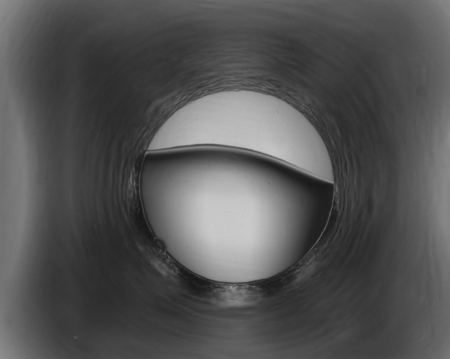 X0000086730623200704130747