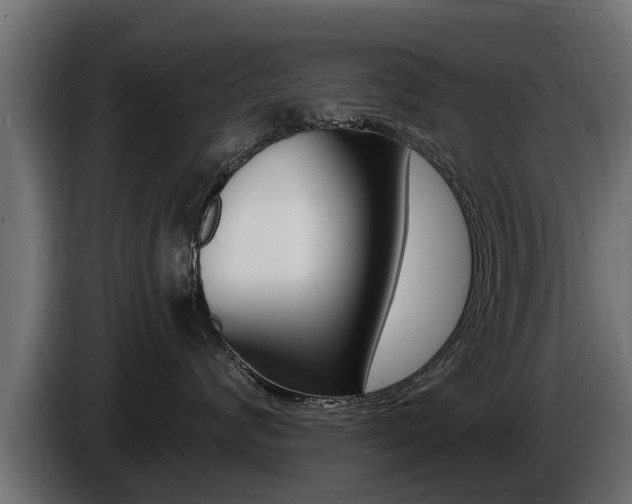 X0000086730624200704130747