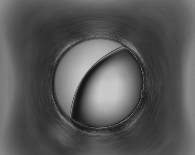 X0000086730625200704130747