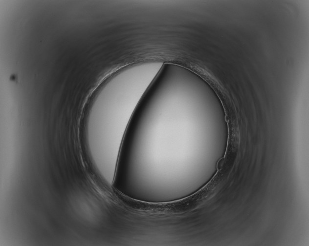 X0000086730626200704130747
