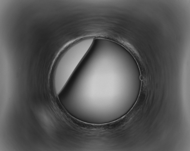 X0000086730628200704130747