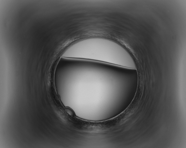 X0000086730631200704130747