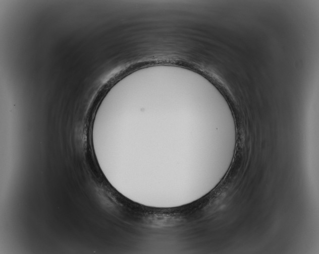 X0000086730632200704130747