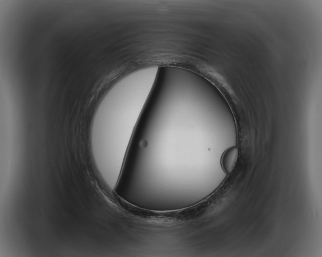 X0000086730633200704130747