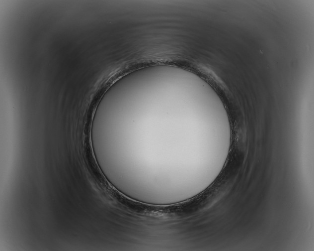 X0000086730635200704130747