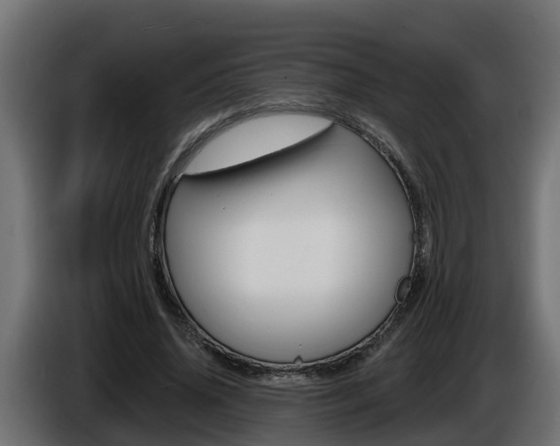 X0000086730636200704130747