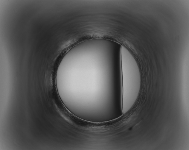 X0000086730638200704130747