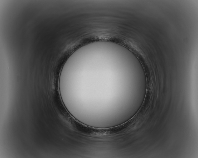 X0000086730639200704130747