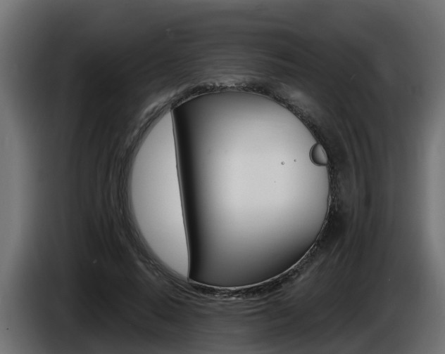 X0000086730640200704130747