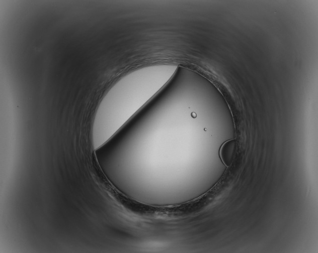 X0000086730641200704130747
