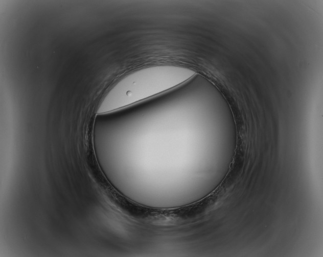 X0000086730642200704130747