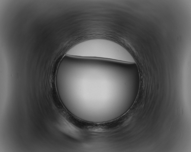 X0000086730643200704130747