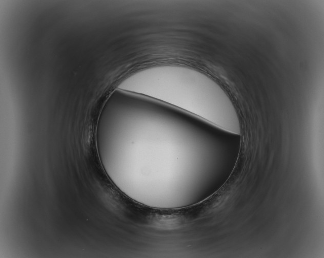 X0000086730645200704130747