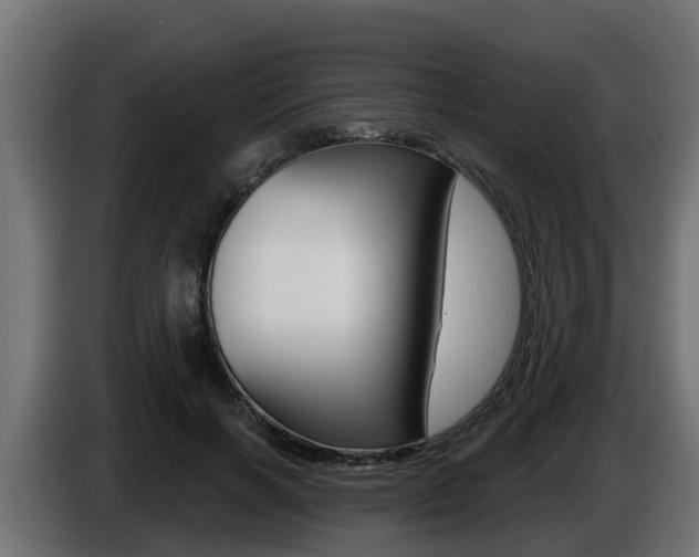 X0000086730646200704130747