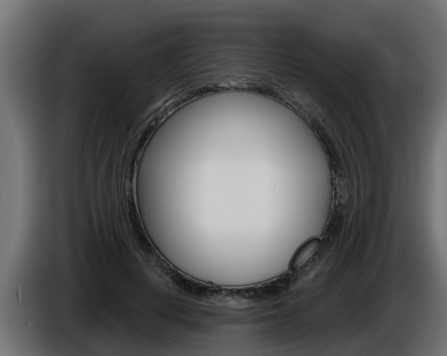 X0000086730648200704130747