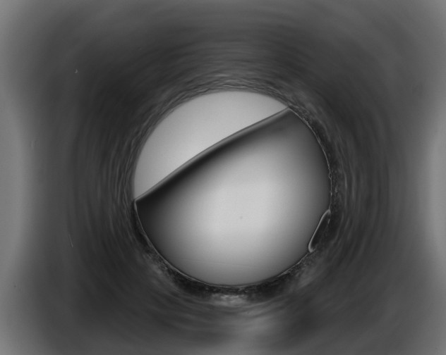 X0000086730649200704130747