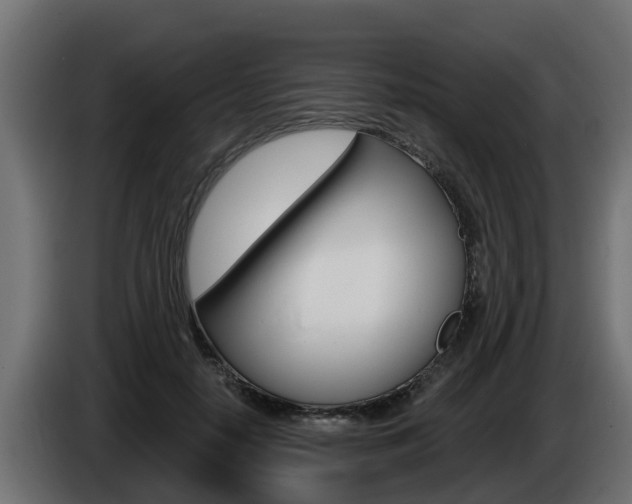 X0000086730650200704130747