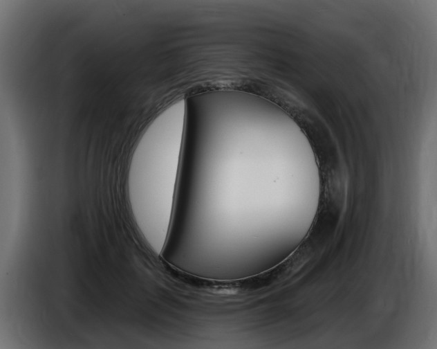 X0000086730651200704130747