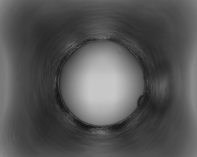 X0000086730652200704130747