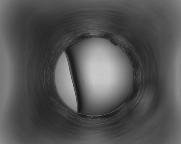 X0000086730653200704130747