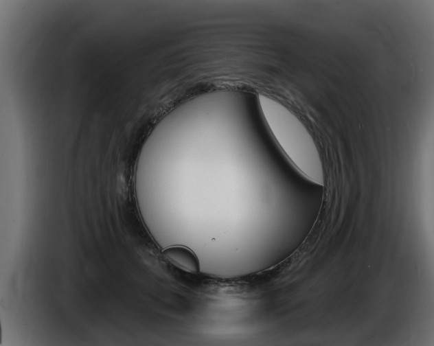 X0000086730655200704130747