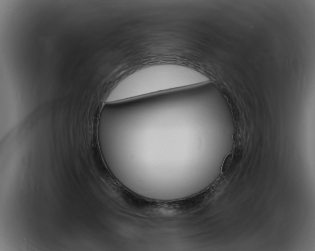 X0000086730656200704130747