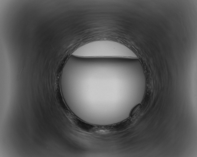 X0000086730658200704130747