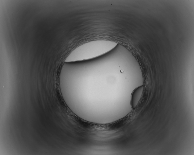 X0000086730659200704130747