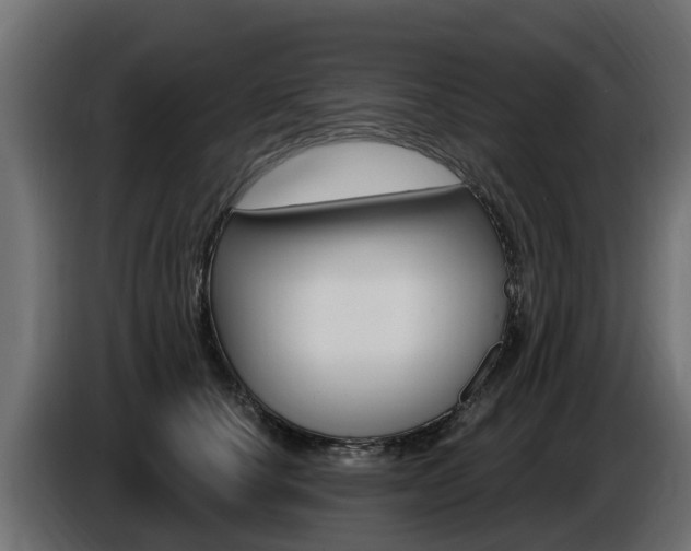 X0000086730660200704130747
