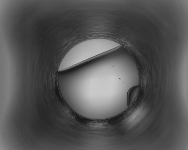X0000086730661200704130747