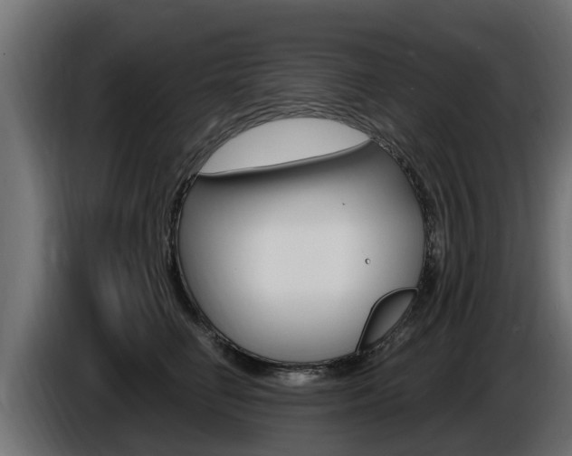 X0000086730662200704130747