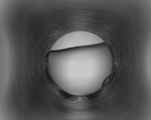 X0000086730663200704130747