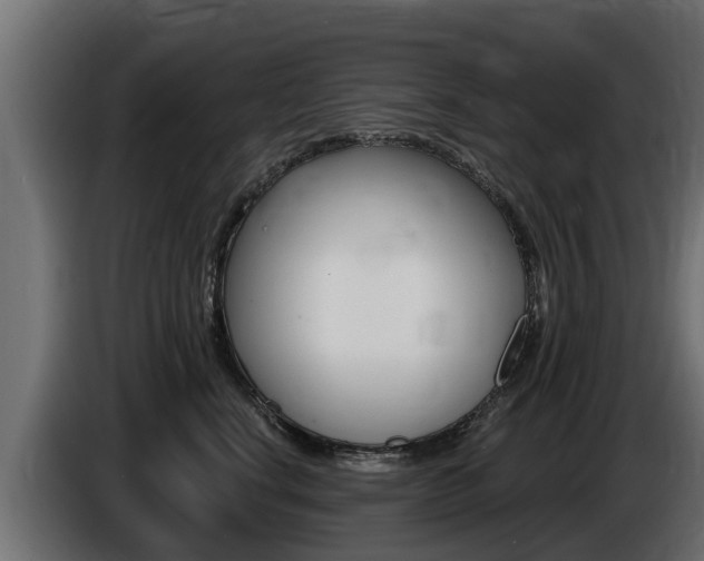 X0000086730664200704130747
