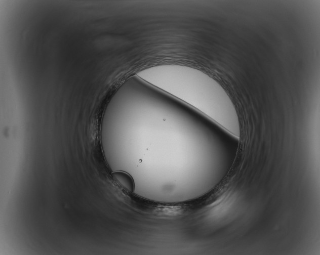 X0000086730665200704130747