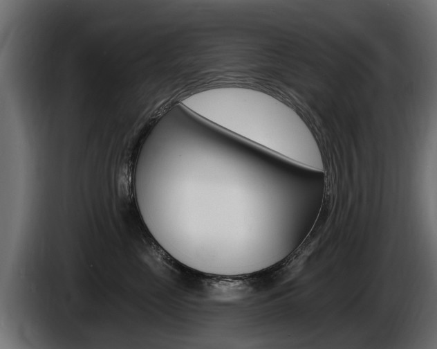 X0000086730669200704130747