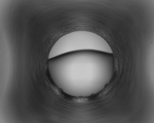 X0000086730670200704130747