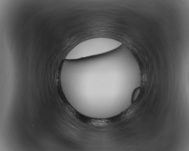 X0000086730671200704130747