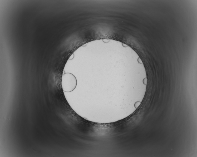 X0000086730672200704130747