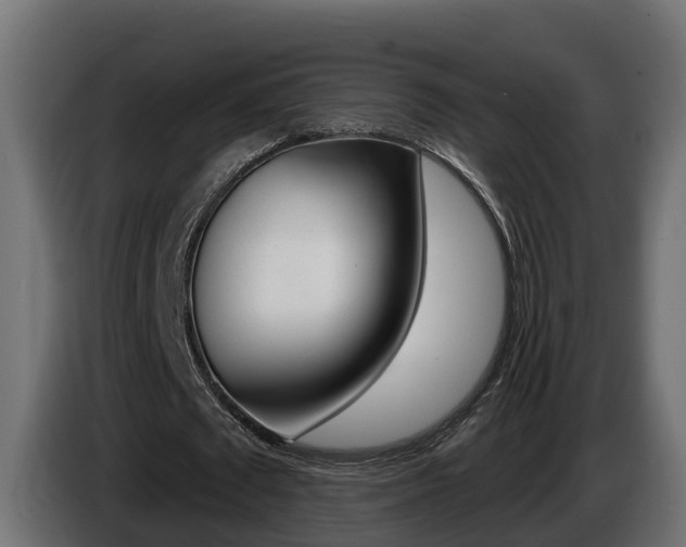 X0000086730673200704130747