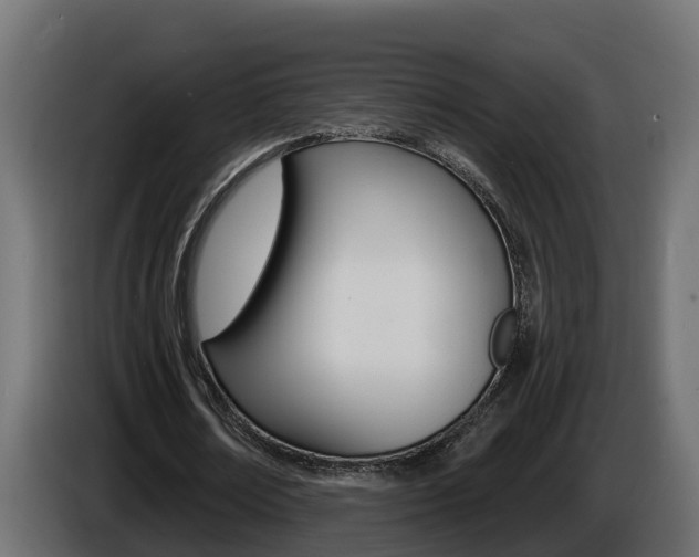 X0000086730674200704130747