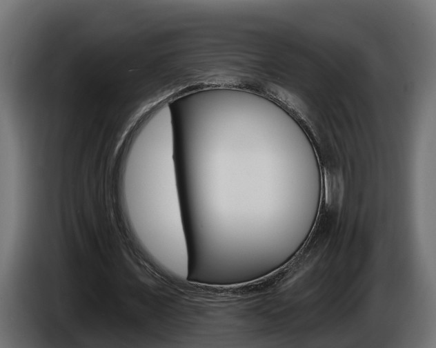 X0000086730675200704130747