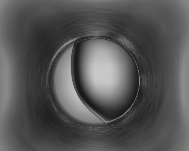 X0000086730676200704130747