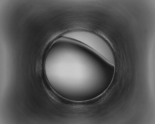 X0000086730677200704130747