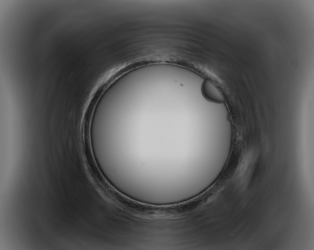 X0000086730678200704130747
