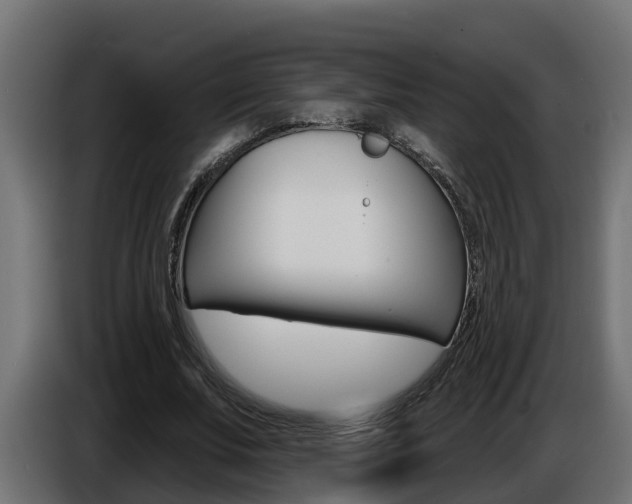 X0000086730679200704130747
